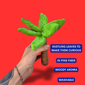 Baby Palm Chew Toy Dental Support