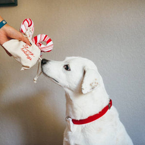 P.L.A.Y Holiday Classic Cheerful Candy Canes