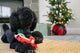 P.L.A.Y Home for the Holidays Holiday Hauler