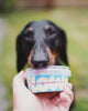Flowis Gelato