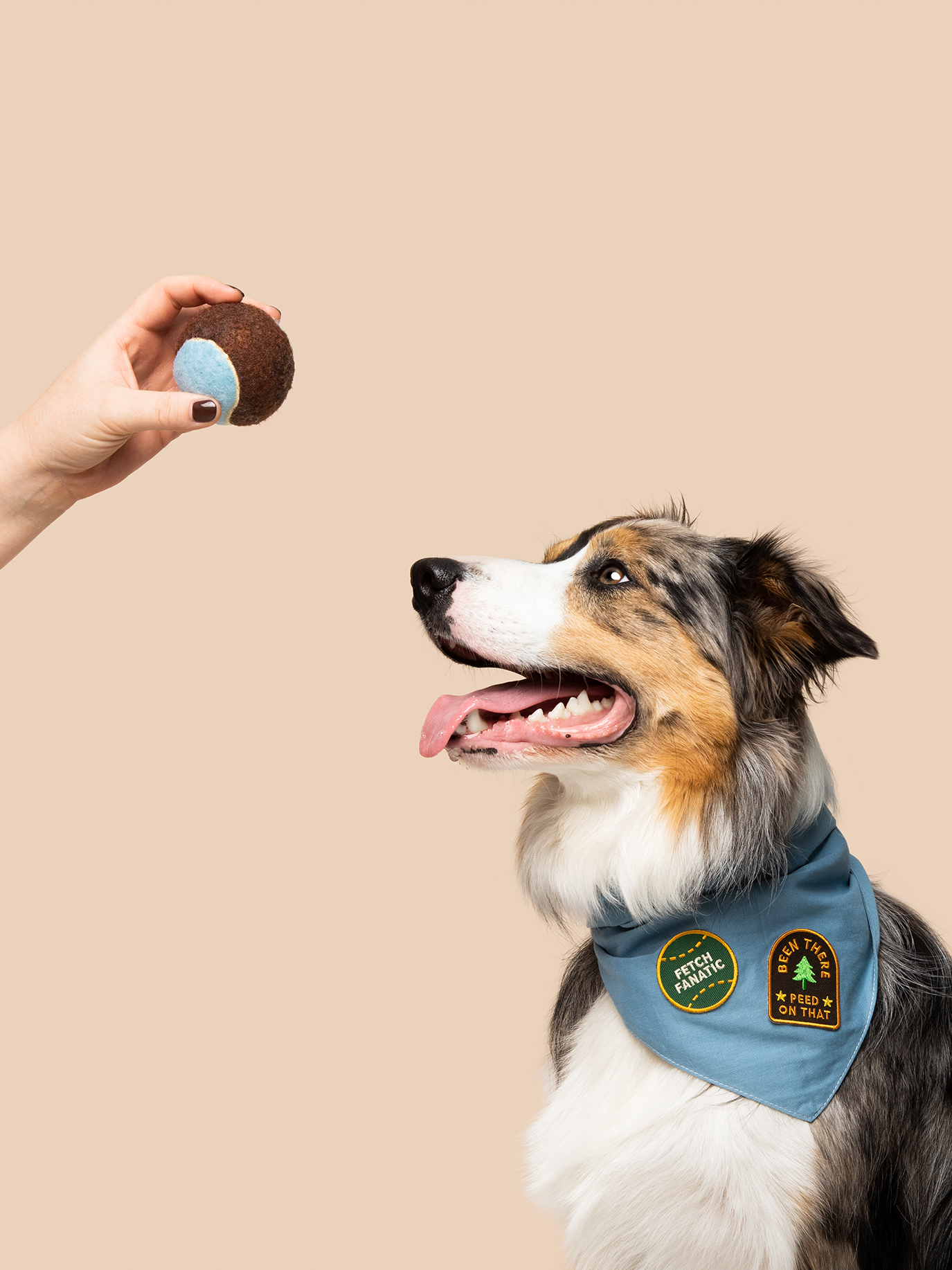 Fetch Fanatic iron- on patch for dogs