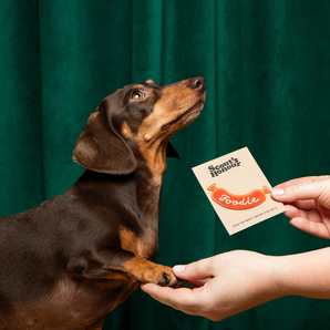 Foodie iron-on patch for dogs