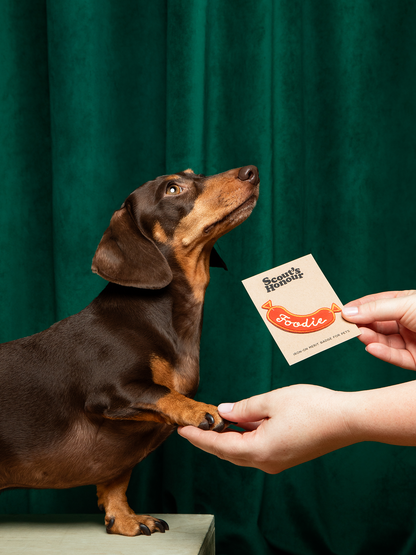 Foodie iron-on patch for dogs