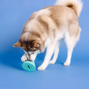 Duraclub You Cone Do It | Turquoise