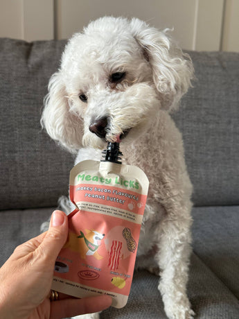 White dog licking a Smokey Bacon Meaty Licks peanut butter pouch on a sofa