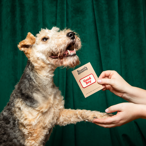 Good Boy iron-on patch for dogs