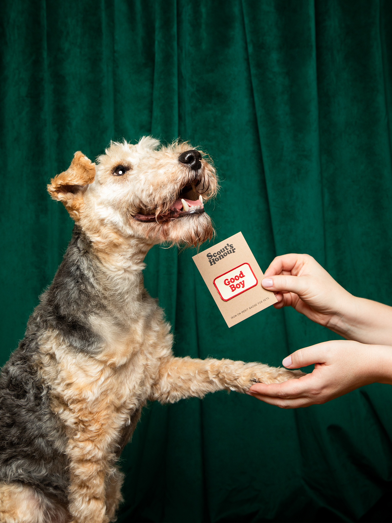 Good Boy iron-on patch for dogs