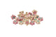 Botvormige fruitbloemen