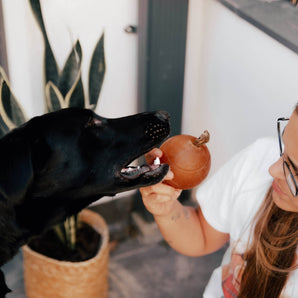 Rub Ball Dog Toy