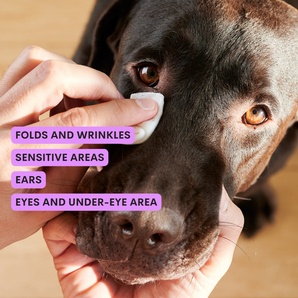 This Is Latte - Cleansing Milk for Eyes and Ears