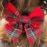 Close-up of the Tartan bow tie fastened to a dog's collar