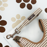London Linen Stripes lead coiled in a matching accessories flat lay, by Cocopup London