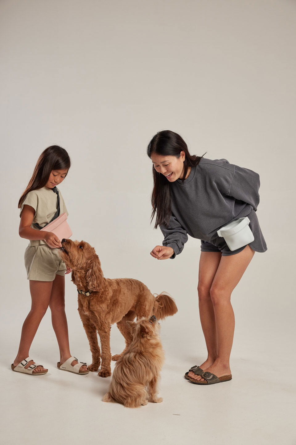 Two Voilà treat pouches being used outdoors with a dog