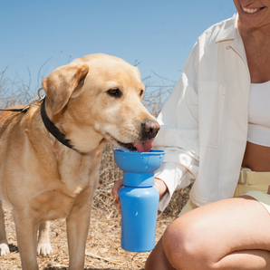 Faire gallery 9 612b4a84: Springland Pets 20oz Flip Dog Travel Water Bottle in Blueberry