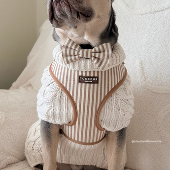 Grey dog sitting indoors in a knitted jumper, striped bow tie and London Linen Stripes harness, by Cocopup London