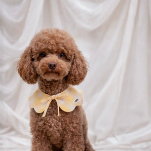 Lola Neck Bandana | Yellow Gingham