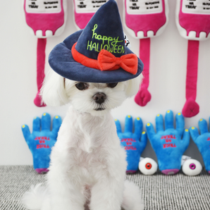 Witch's Hat Set Snuffle Toy