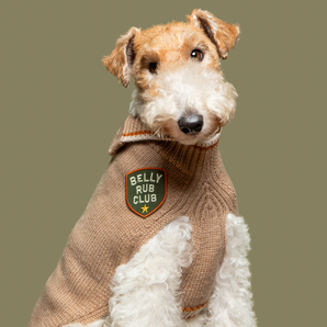 Belly Rub Club iron-on patch for dogs