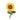 P.L.A.Y Blooming Buddies Sassy Sunflower