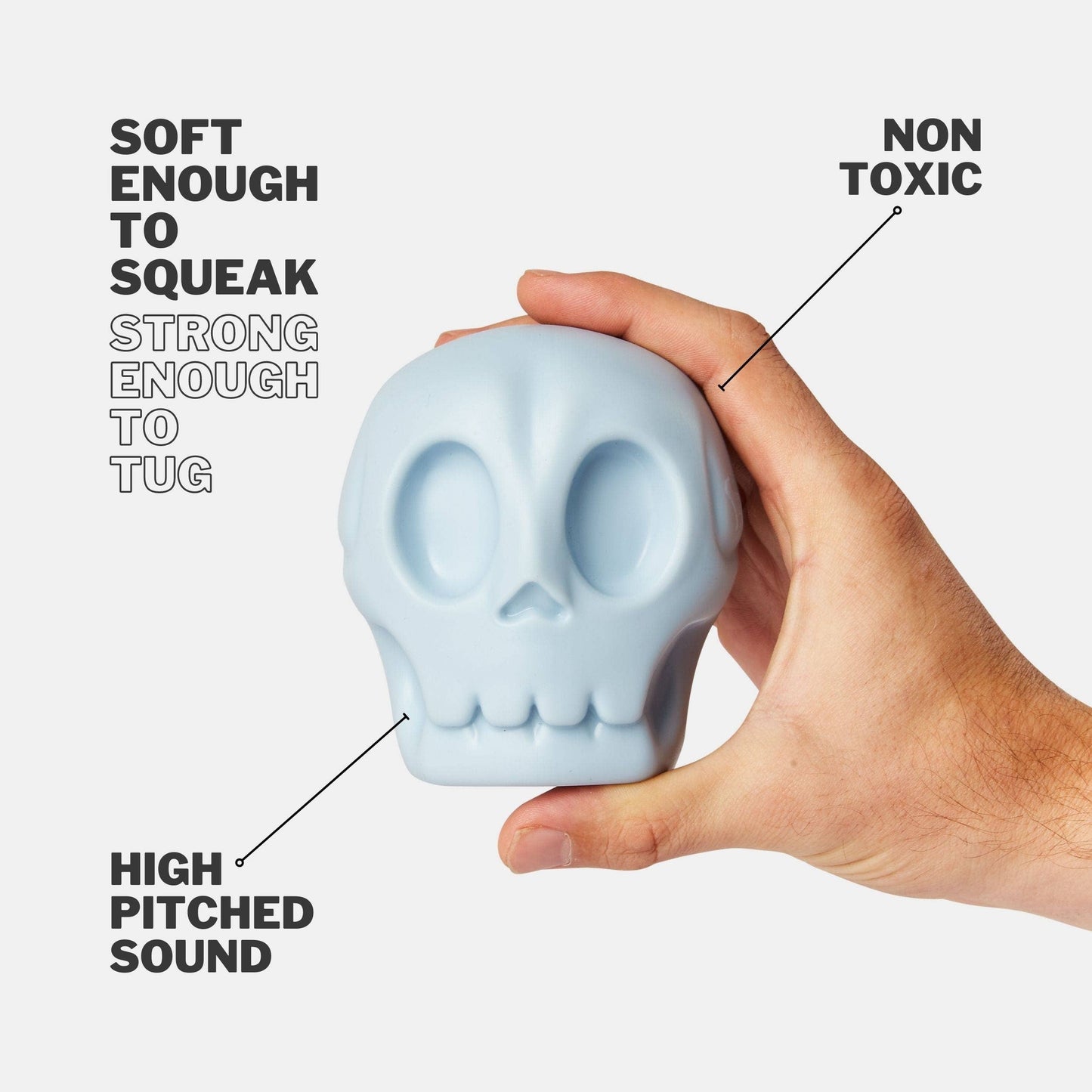 Skully Squeaky Dog Toy