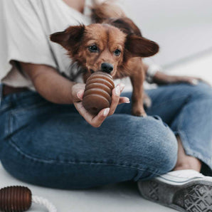 Rub Jumpty Dumpty Dog Toy