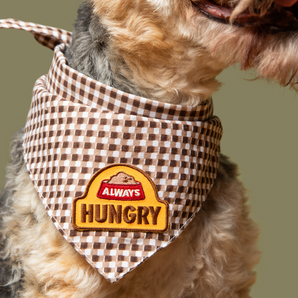 Always Hungry iron-on patch for dogs
