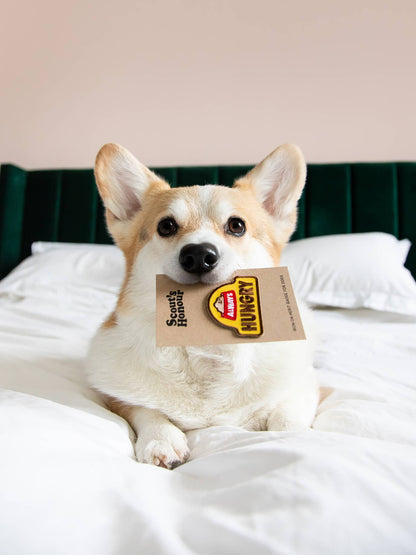 Always Hungry iron-on patch for dogs