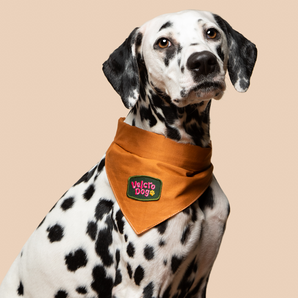 Velcro Dog iron-on patch for dogs