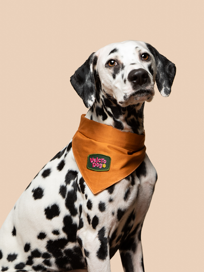 Velcro Dog iron-on patch for dogs