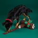 Interactief kerststronk-snuffelspeeltje voor honden