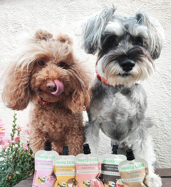 Two dogs behind a selection of Meaty Licks peanut butter pouches outdoors