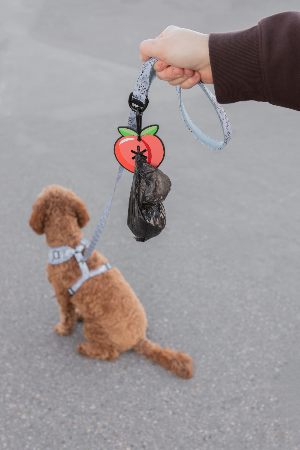 Peach Poopy Loop - Dog Waste Bag Holder