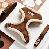 Brown Aviator tuig van voren met bijpassende bruine Cocopup London accessoires