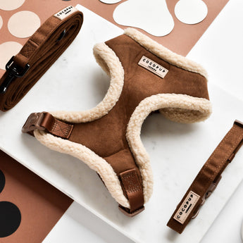 Brown Aviator tuig van voren met bijpassende bruine Cocopup London accessoires