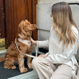 Woman kneeling beside a brown cocker spaniel at a doorway holding the London Linen Stripes lead, by Cocopup London