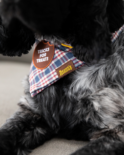 Tricks for Treats iron-on patch for dogs