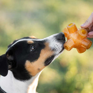 Rub Free Jump Dog Toy