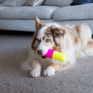 FuzzYard Chill Pill Interactive Chew Toy