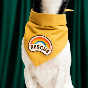 Rescue iron-on patch for dogs