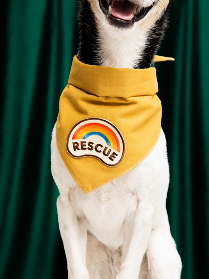 Rescue iron-on patch for dogs