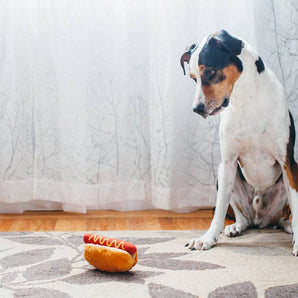 P.L.A.Y American Classic Hot Diggy Dog