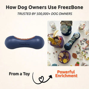 FreezStick