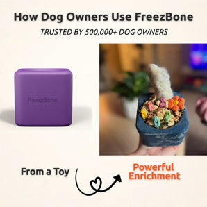 FreezBox