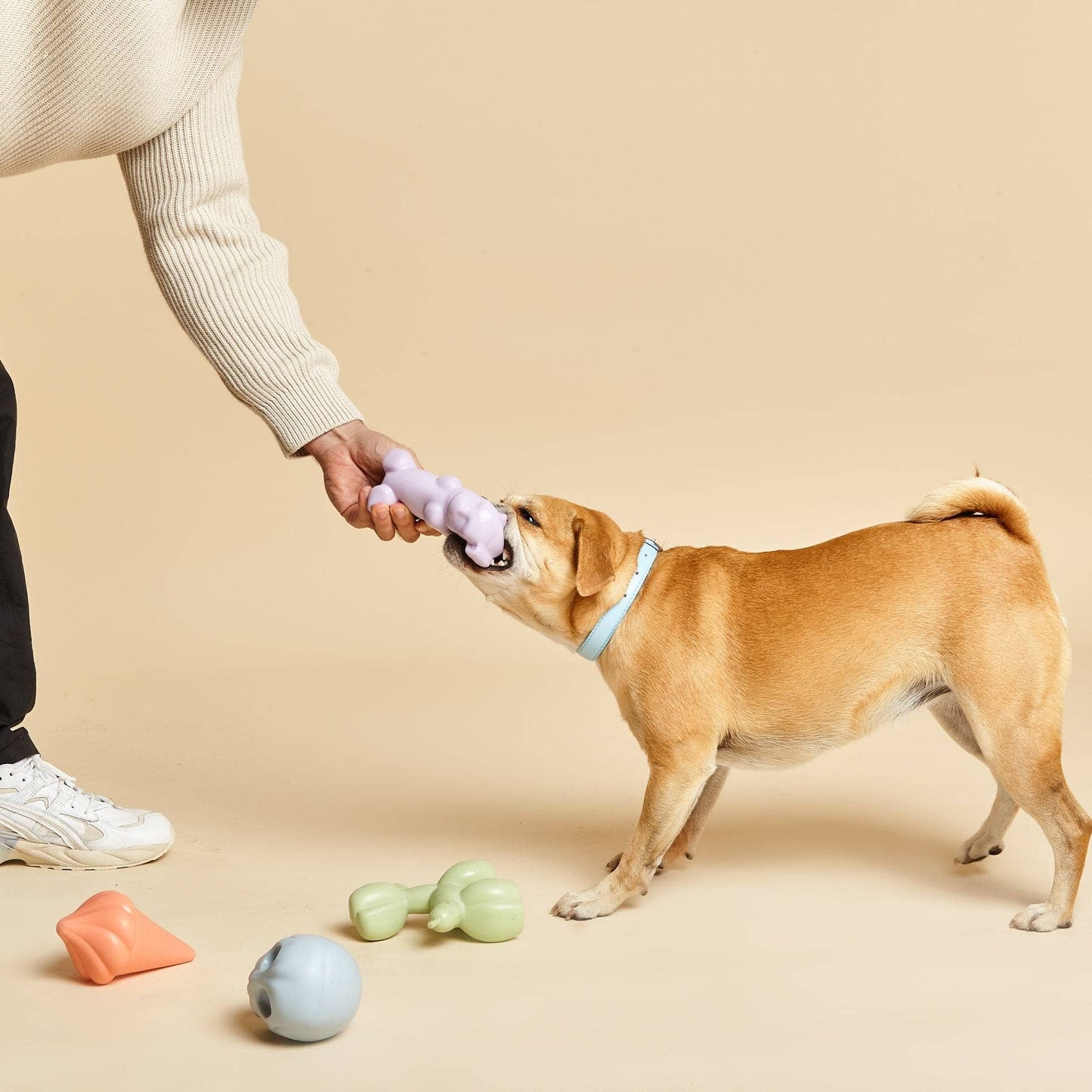 Gummy Squeaky Dog Toy