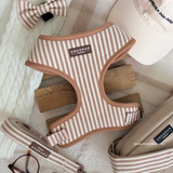 London Linen Stripes harness arranged with matching walking accessories, by Cocopup London