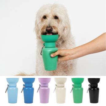 Faire: Springland Pets 20oz Flip Dog Travel Water Bottle use demonstration