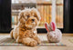 P.L.A.Y Forest Friends Baxter the Bunny