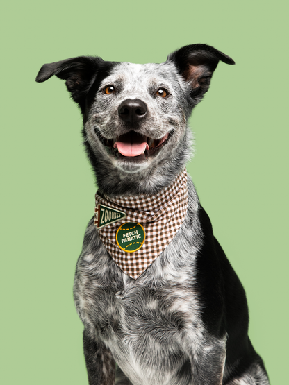 Fetch Fanatic iron- on patch for dogs