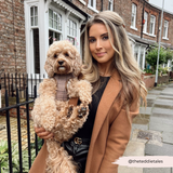 Woman holding a small curly dog wearing the Pup Plaid harness on a residential street