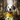 Gentle Giant iron-on patch for pets